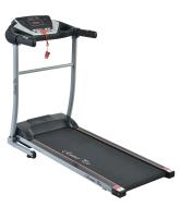 Беговая дорожка Runner Pro 8000