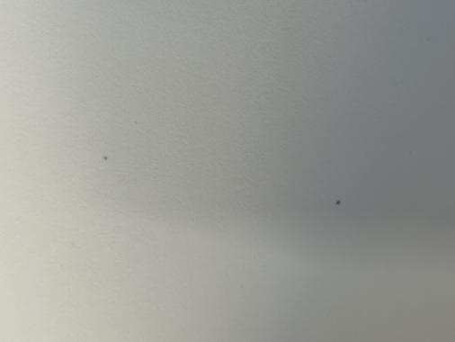  Крісло Bonro B- 487 на колесах біле (896) - уцінений товар